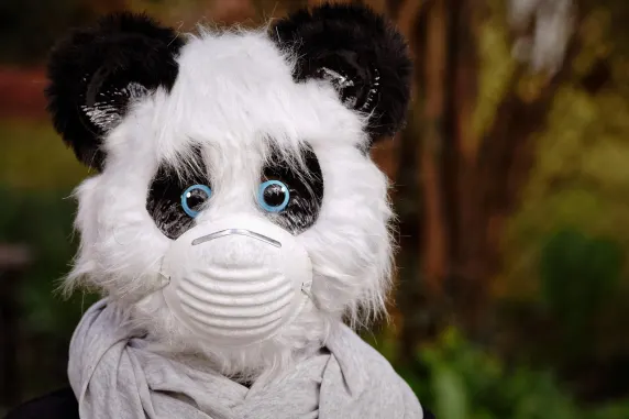 بيغ أزارت كازينو الدعم